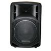 DIFFUSORE ATTIVO KONIG PA-SMA1502. Potenza RMS 300W 